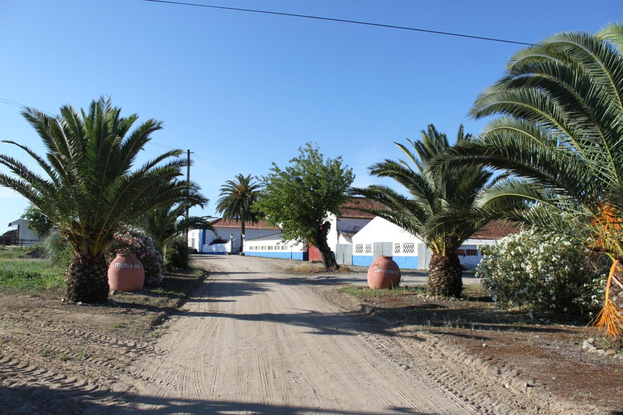Monte Da Serralheira Agro Turismo Évora Eksteriør bilde