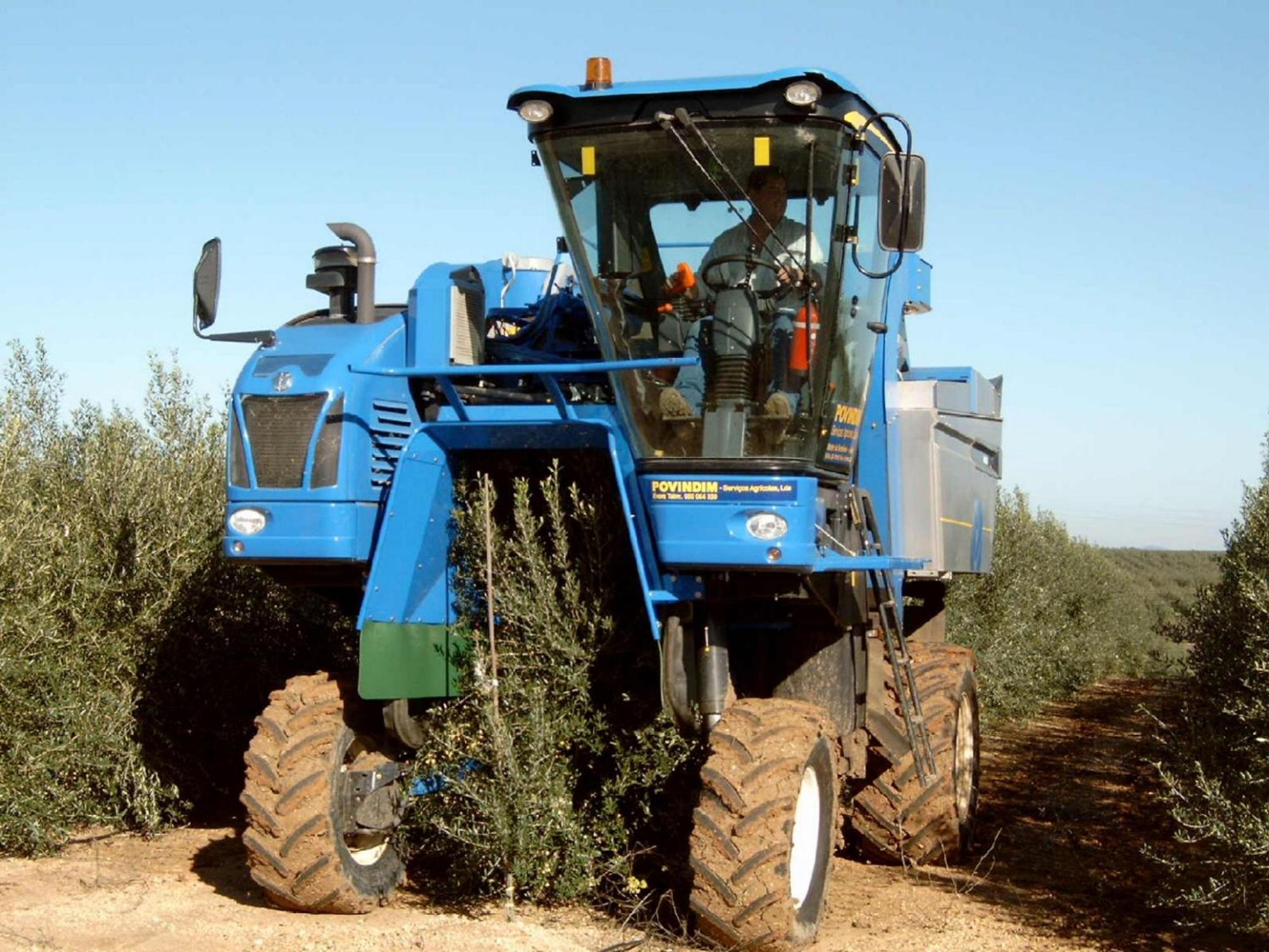 Monte Da Serralheira Agro Turismo Évora Eksteriør bilde