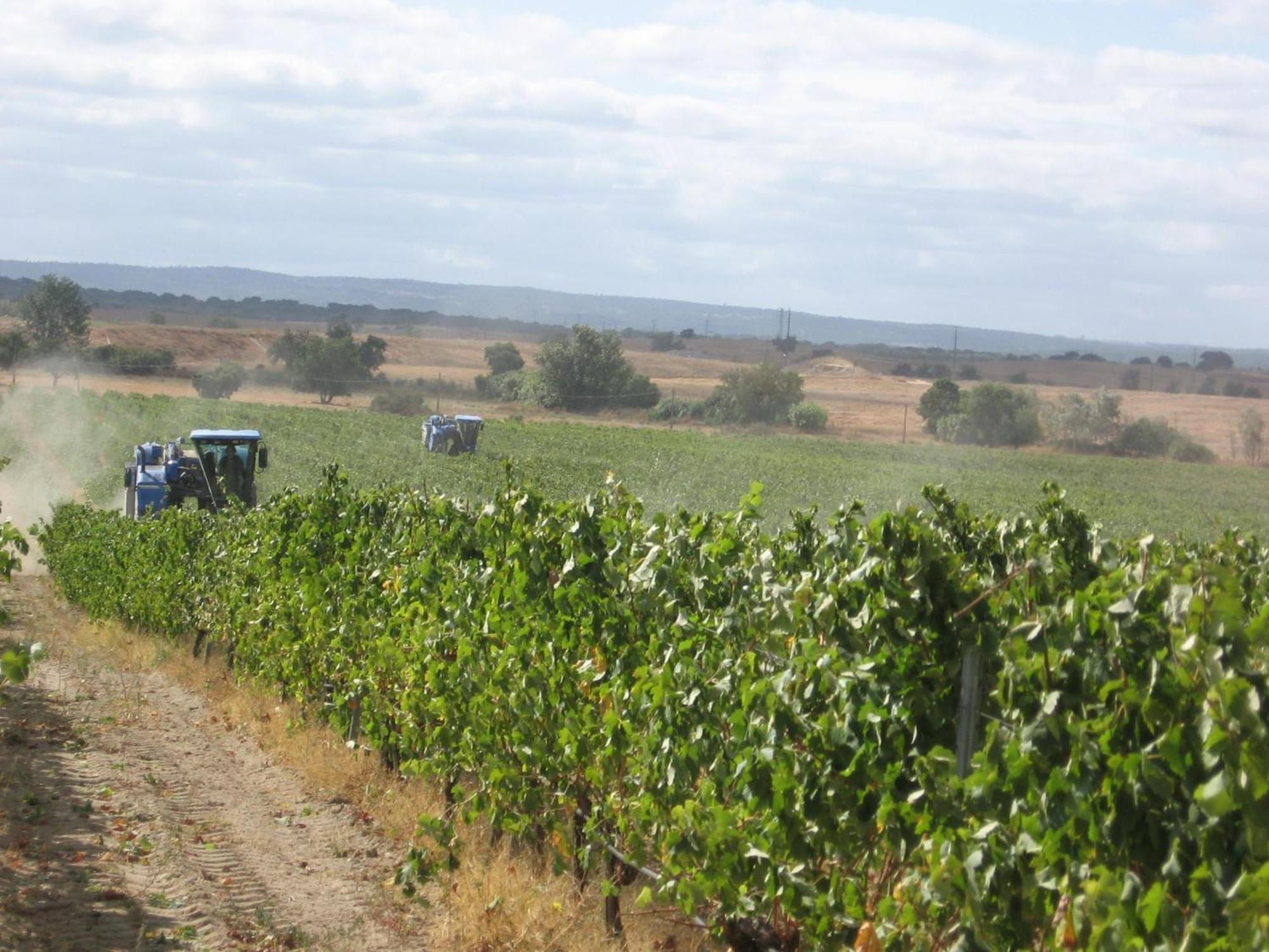 Monte Da Serralheira Agro Turismo Évora Eksteriør bilde