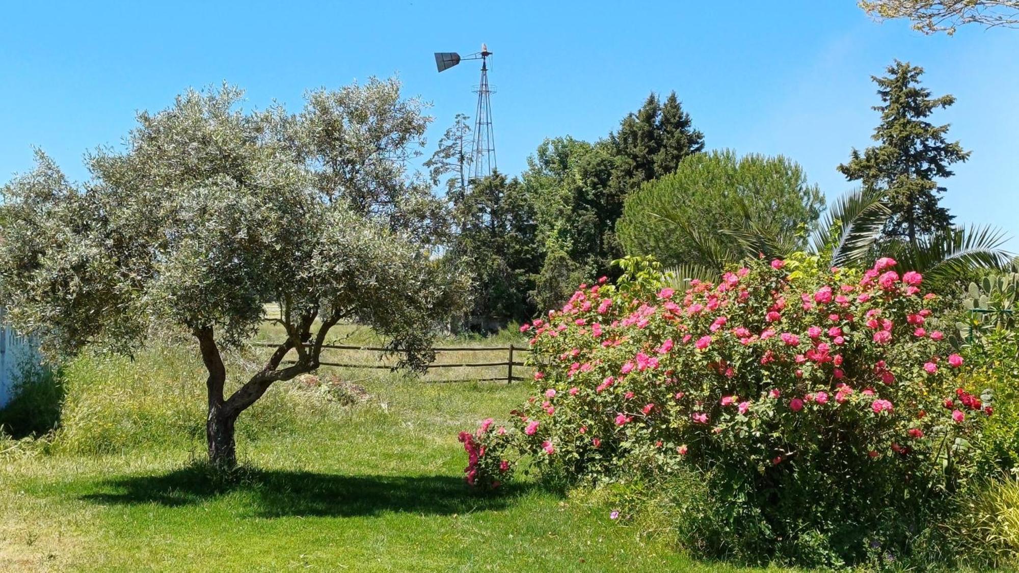 Monte Da Serralheira Agro Turismo Évora Eksteriør bilde